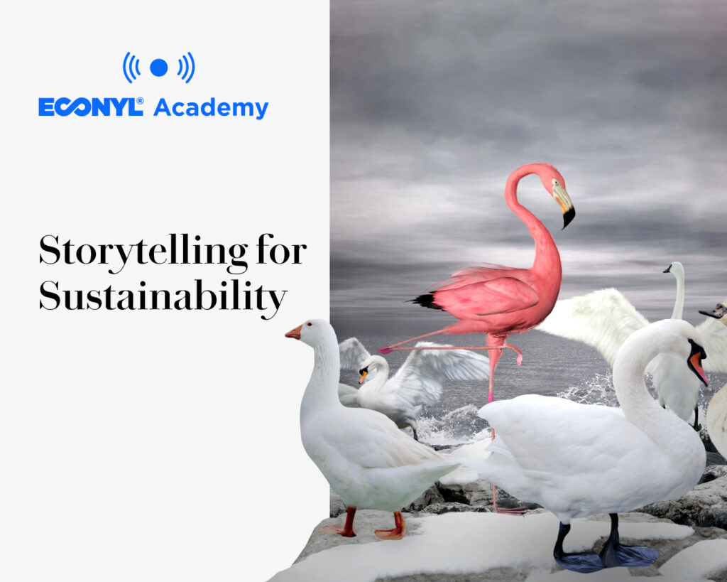 Storytelling for Sustainability 