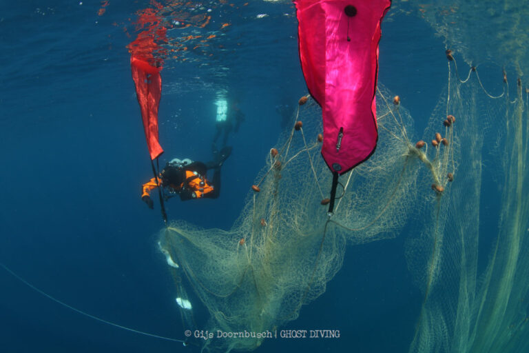 World Oceans Day: What role does the ocean play in the world’s climate and why is it important to look after it?