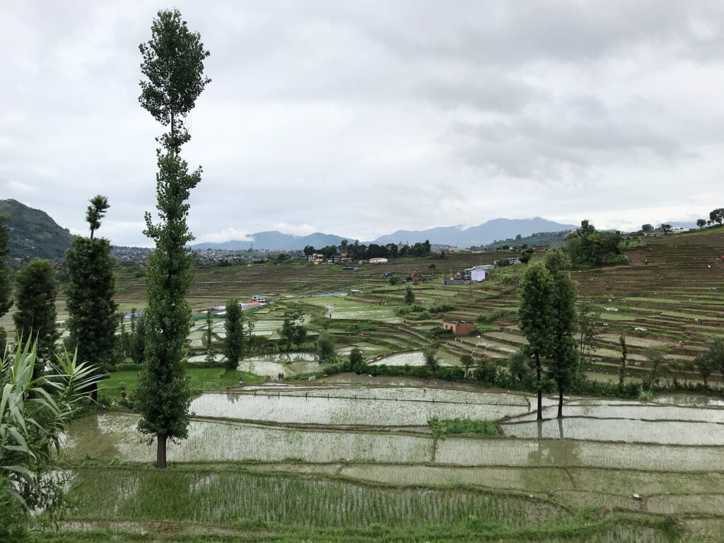 THE RUGGIST – Handknotted Nylon? | Part Three 