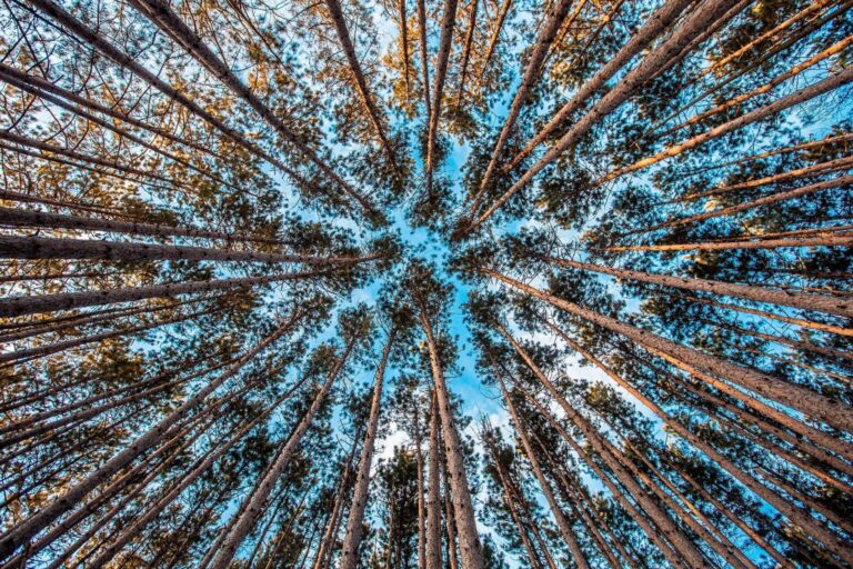 Aquafil sustainability report 2019