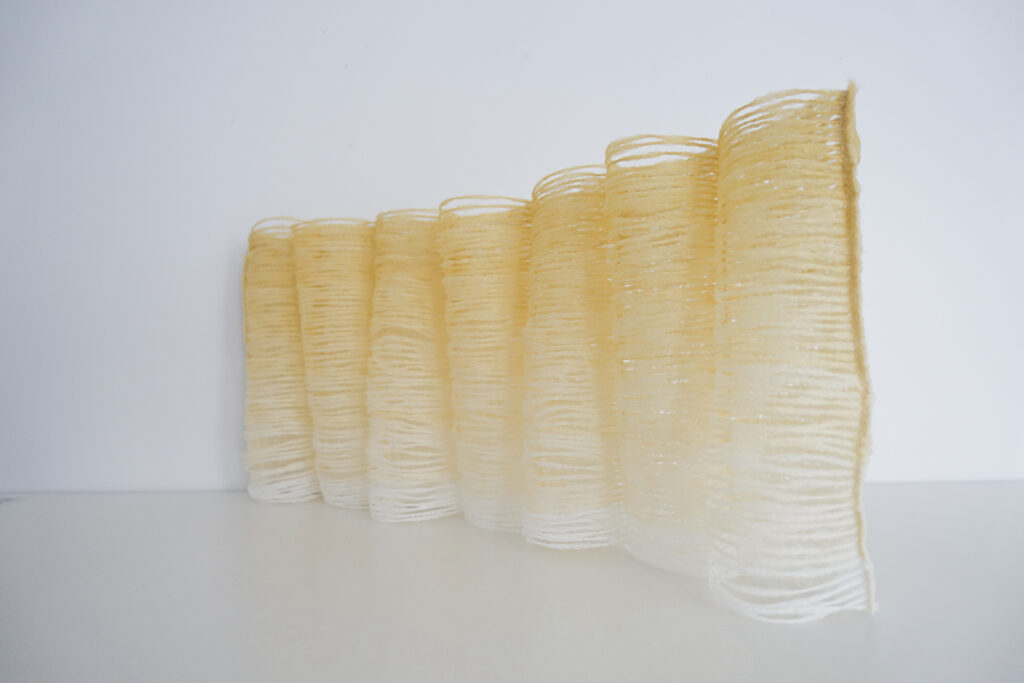 Illuminating the Next Generation of Designers 