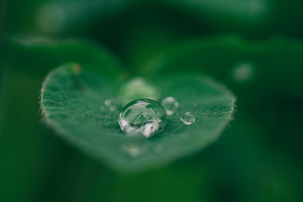 The Growing Power of Sustainability Reporting 