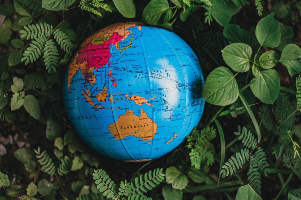 The Ultimate ROI: You, the Fashion Cycle, and Our Planet 