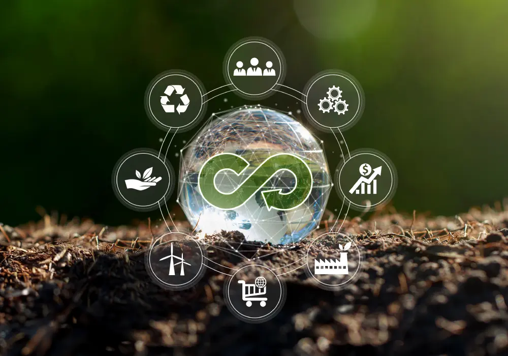 Profitability & Sustainability in Fashion: Is No Growth the Way Forward? 